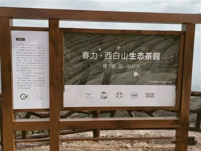 절강춘리차산업유한회사, 서백산 차 농가를 함께 번영시키다